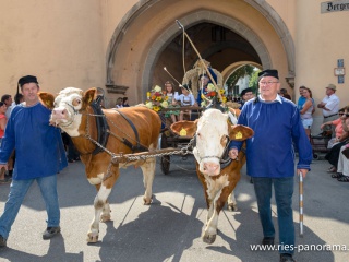 NDL_Hist-Stadtmauerfest-2013_07