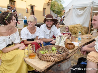 NDL_Hist-Stadtmauerfest-2013_13