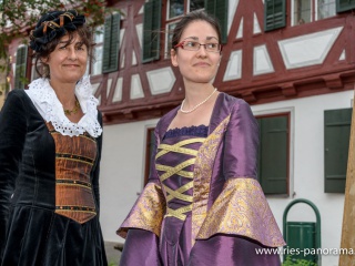 NDL_Hist-Stadtmauerfest-2013_15