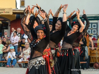 NDL_Hist-Stadtmauerfest-2013_27