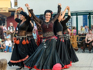 NDL_Hist-Stadtmauerfest-2013_28