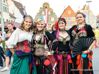 NDL_Hist-Stadtmauerfest-2013_30