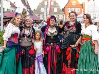 NDL_Hist-Stadtmauerfest-2013_31